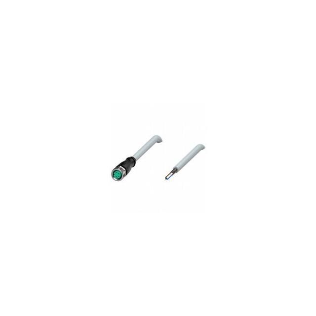 V31-GM-5M-PUR-ABG