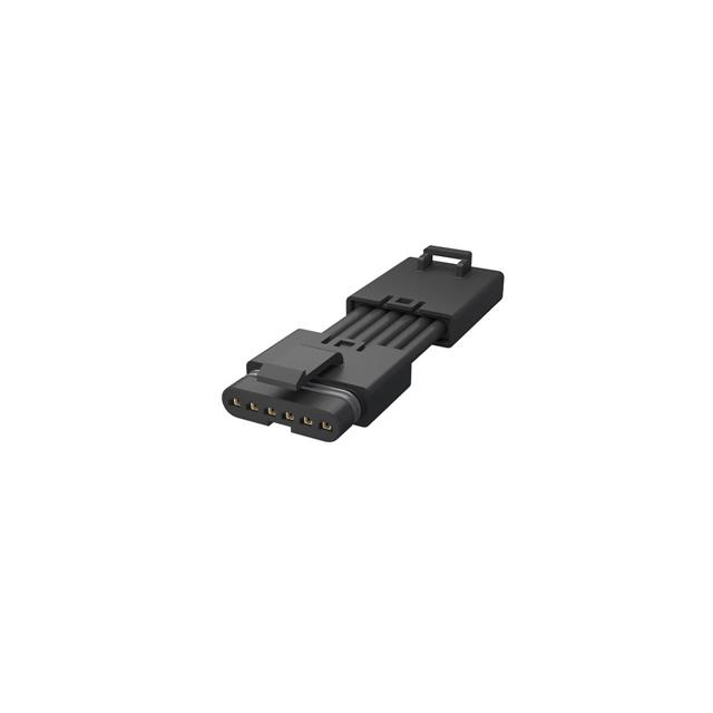 FLHM4P008C0