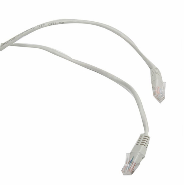 CAT5-0031