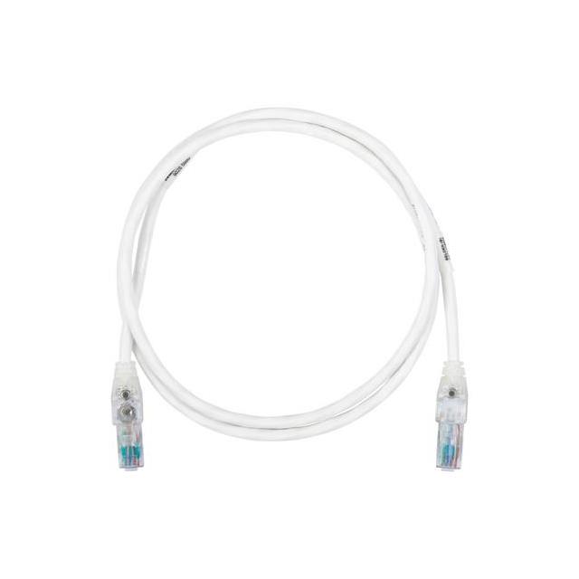 C6T1105004
