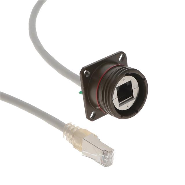 RJFTV2SA2G15100BTX