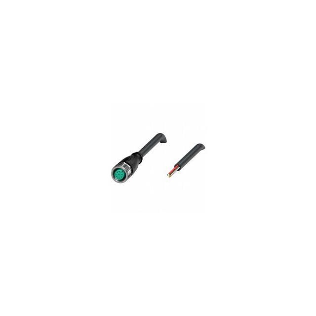V19-G-BK10M-PUR-U