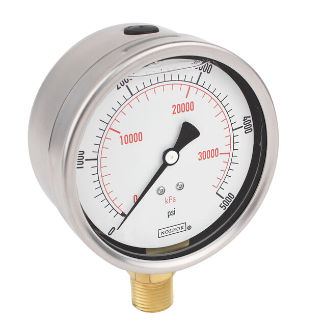 40-901-400-psi/kPa-1/2-SG-DRY-O2