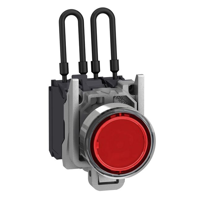 XB4BW24B5