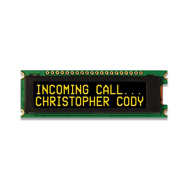 NHD-0216CW-AY3
