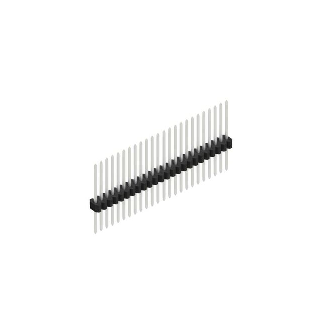 SLV W 11 080 24 Z
