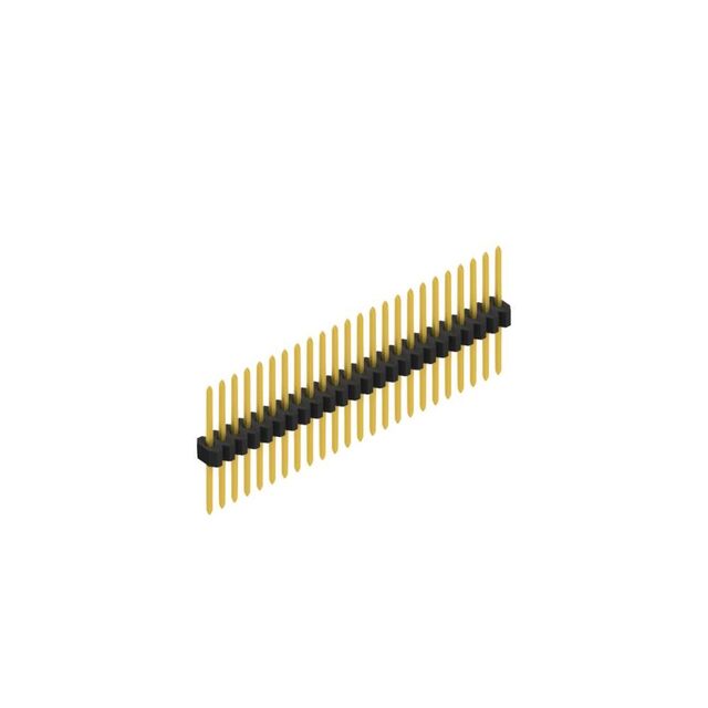 SLV W 11 055 24 G