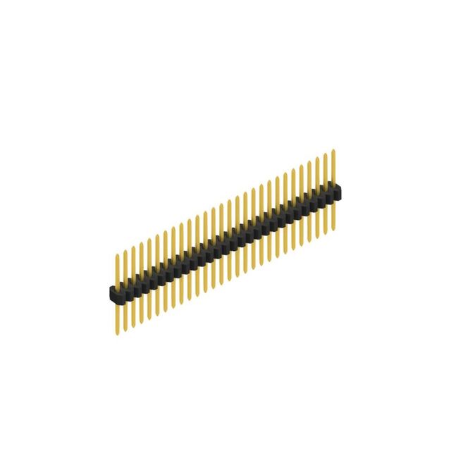 SLV W 11 055 28 Z