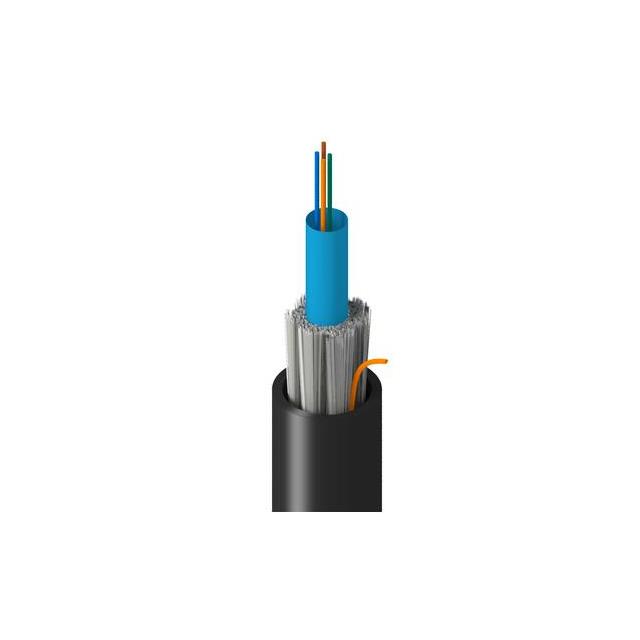 TM-1C0-004-MNAN