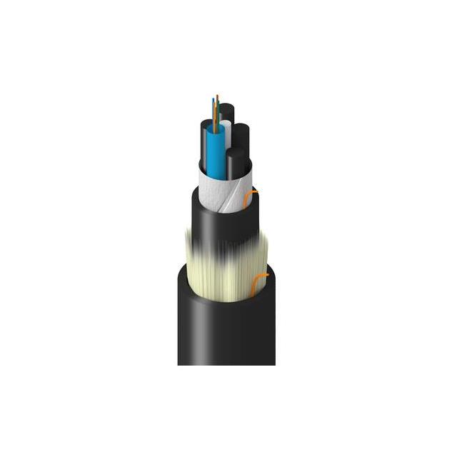 TF-1LF-004-R25N