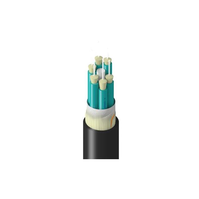 TT-3BB-006-LINN