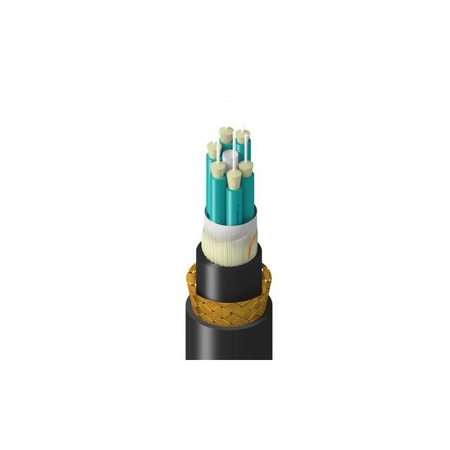 TM-3BB-006-LBAN