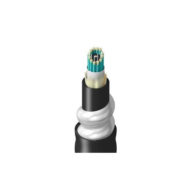TT-3BB-012-LINN