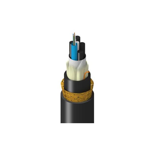 TM-SLF-006-HBAN