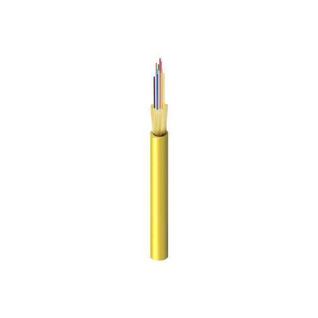 FISD012P9