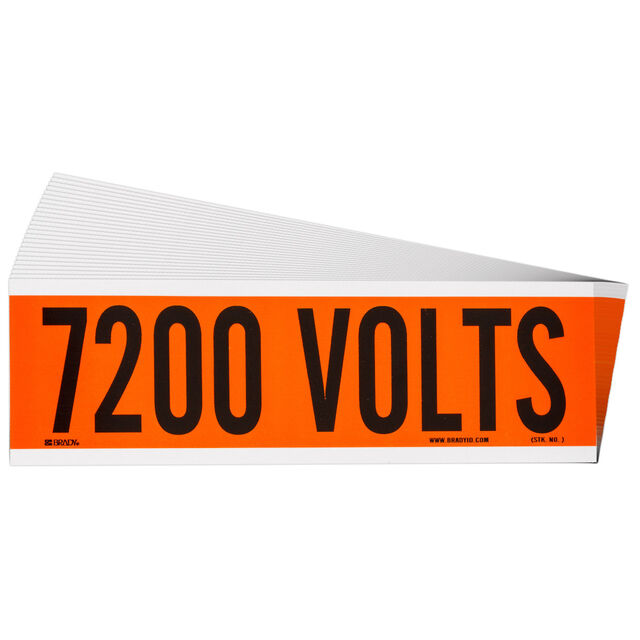 152338