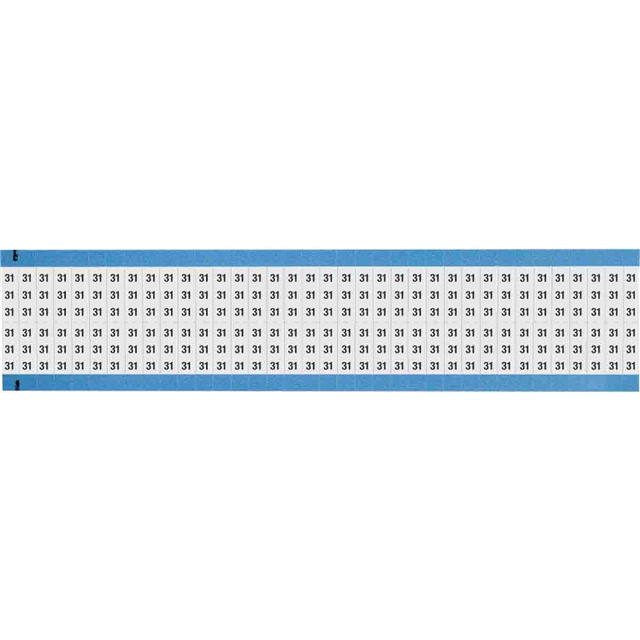 WM-31-SC-PK