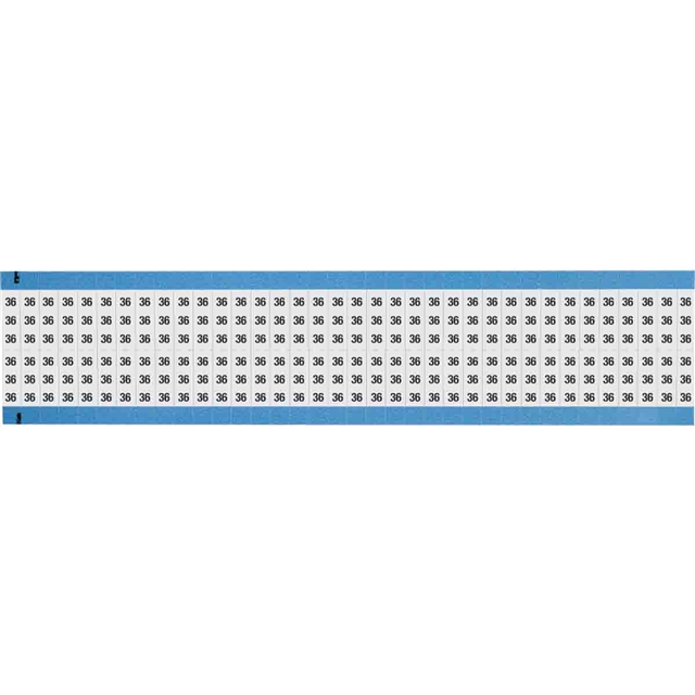 WM-36-SC-PK