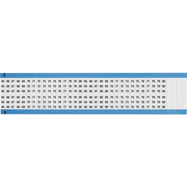 WM-65-80-DC-SC-PK