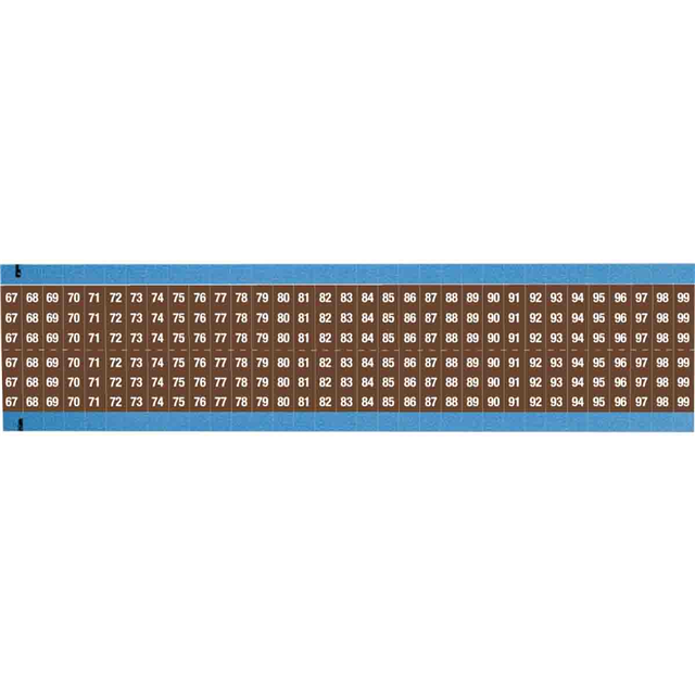 WM-67-99-BR-SC-PK