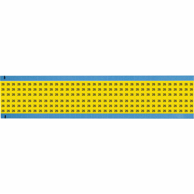 WM-26-YL-SC-PK