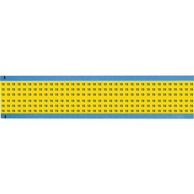 WM-19-YL-SC-PK