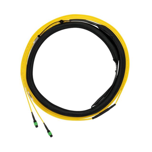 F9TYP5EL2SAF300