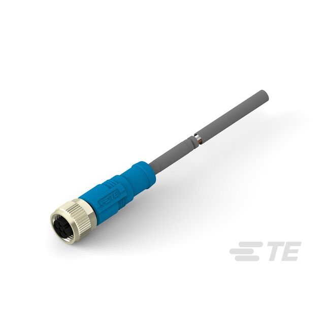 T4151320002-002