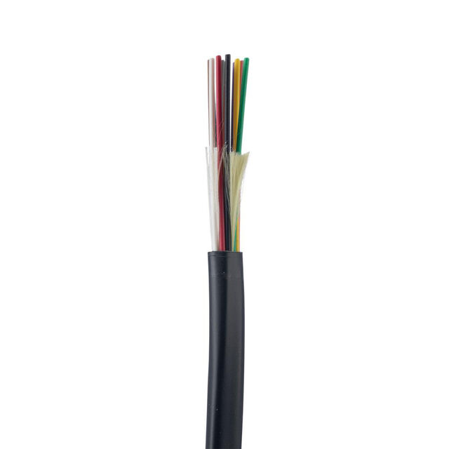 FOKPX24