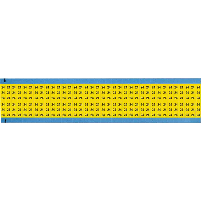 WM-24-YL-SC-PK
