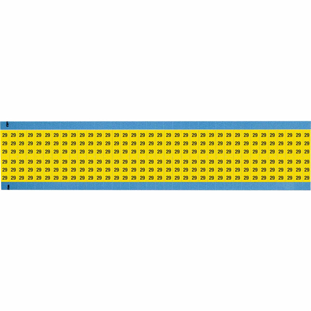 WM-29-YL-SC-PK