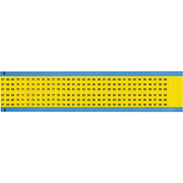 WM-67-99-YL-SC-PK