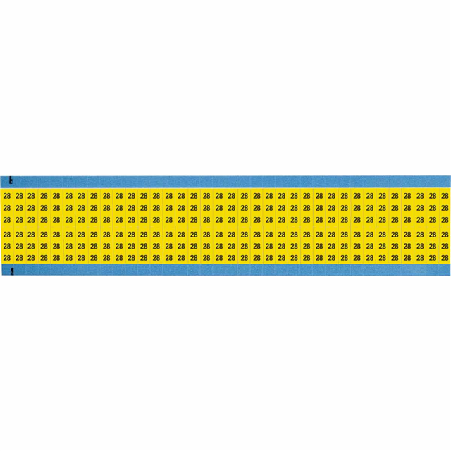 WM-28-YL-SC-PK