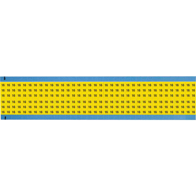 WM-16-YL-SC-PK