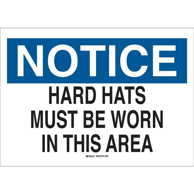 42806