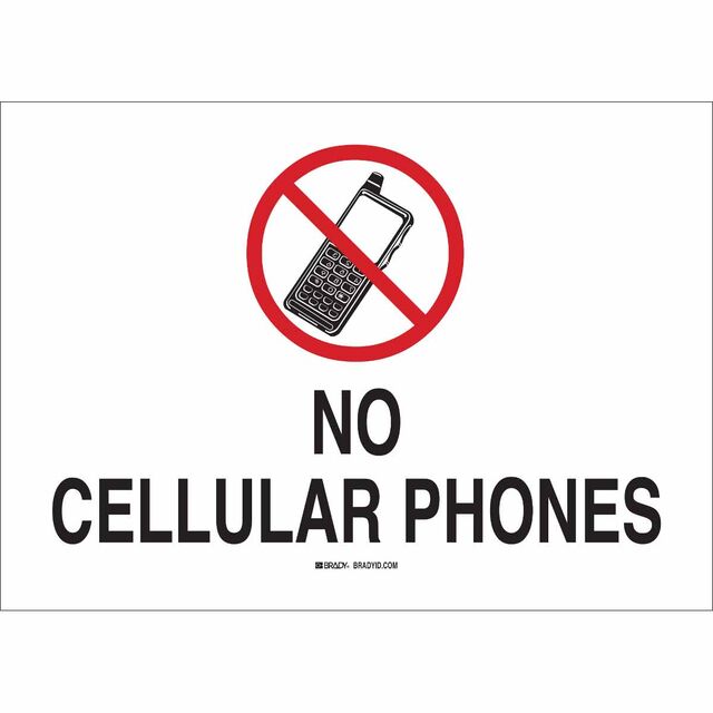 95503