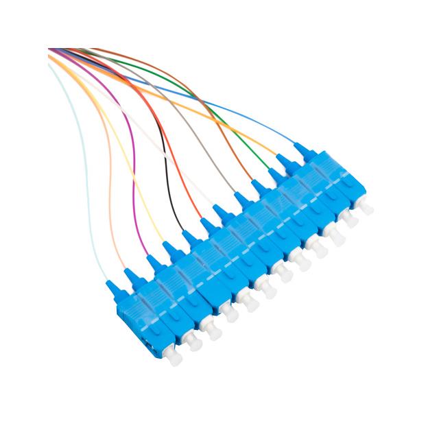 FPT12-SCUSM-R-FO-3