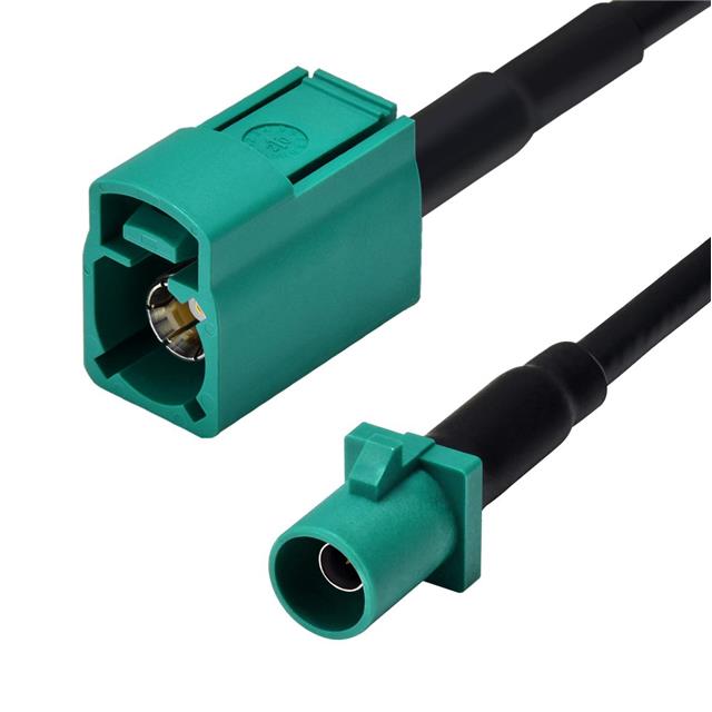 CA-FJFM-ZZ00110
