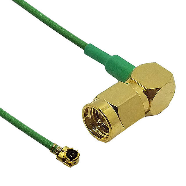 CB1.32D-IPX-SALMGT-12IN