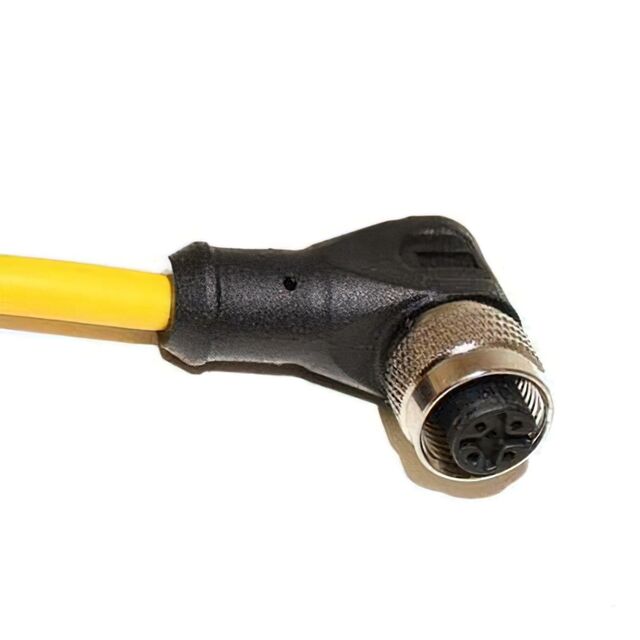 C5D06M004