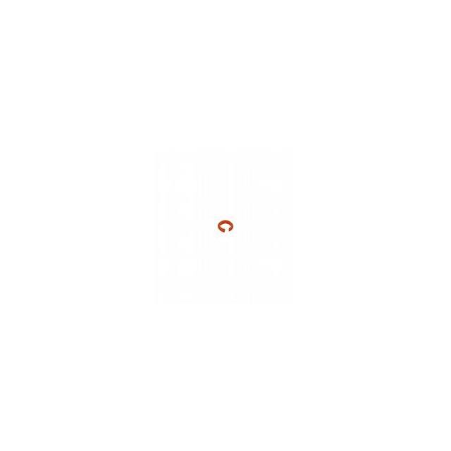 V1-MARKING-RING-ORANGE