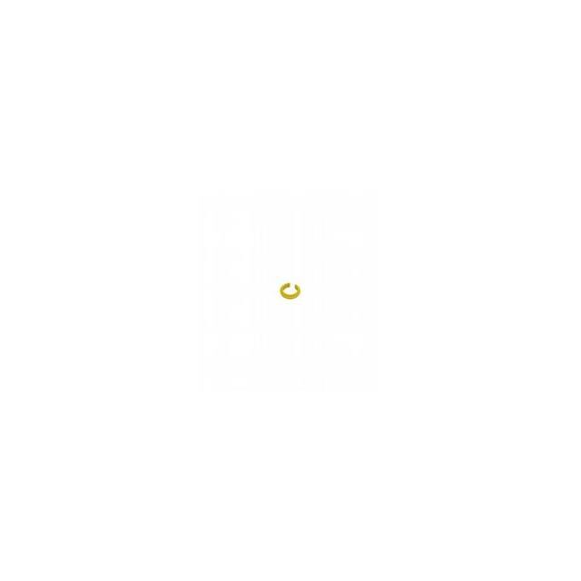V1-MARKING-RING-YELLOW