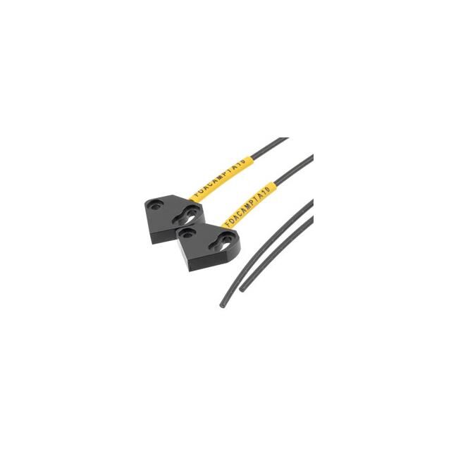 FOACAMPTA10