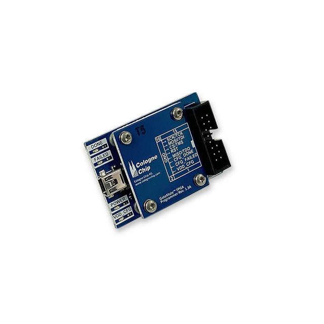 CCGM1-P1