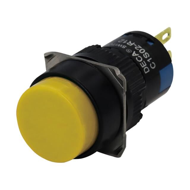C1S02-R121Y-H10