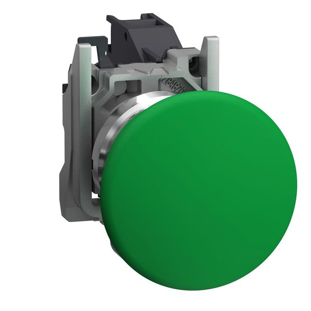 XB4BC31GEX