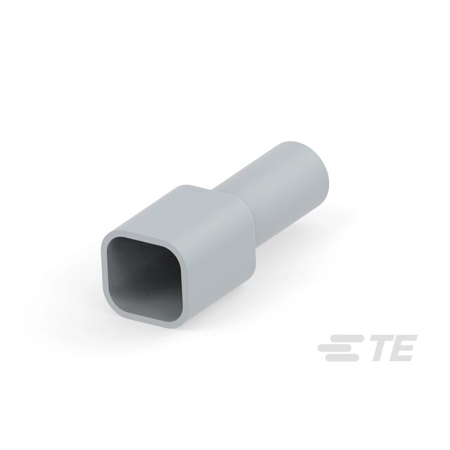 DT6P-BT