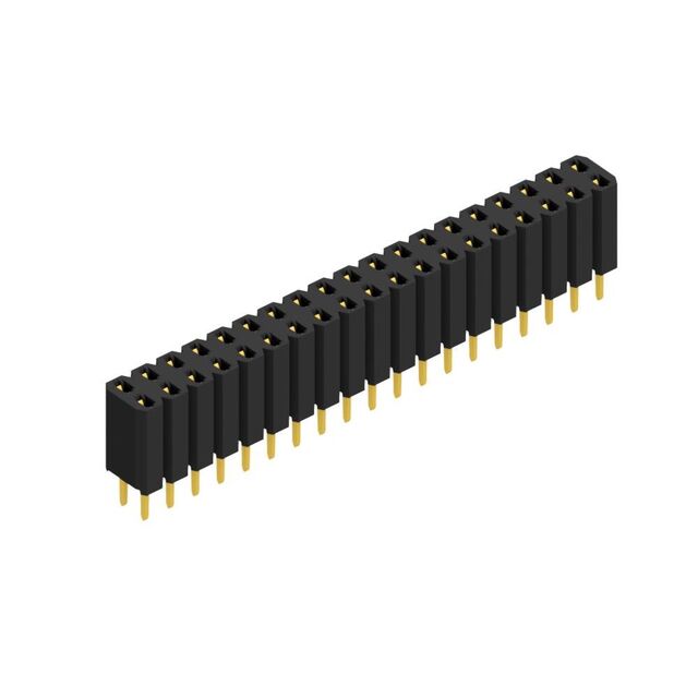 BL 2 38 G