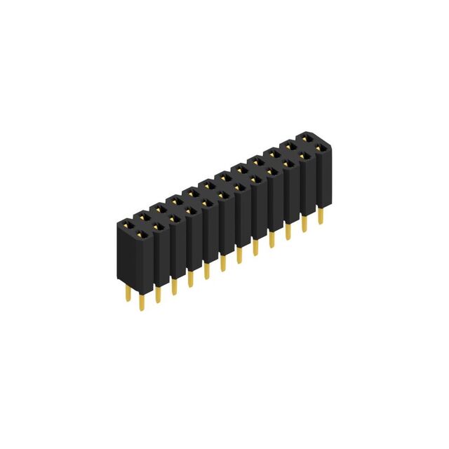 BL 2 24 G