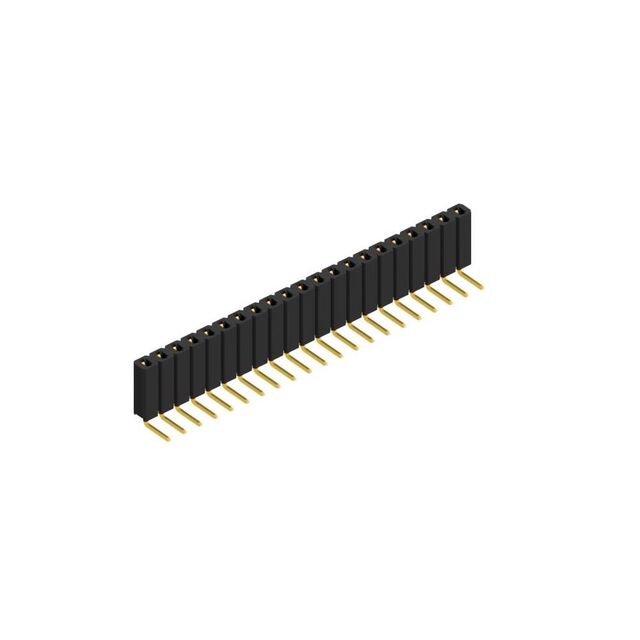 BL 3 21 G